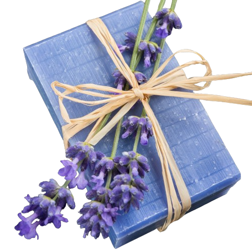 Trà Sen Bách Diệp